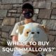 where do they sell squishmallows
