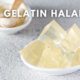is gelatine halal