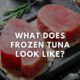 What Does Frozen Tuna Look Like