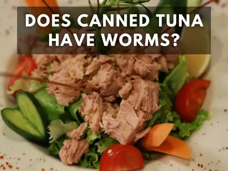 does canned tuna have parasites