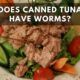 does canned tuna have parasites