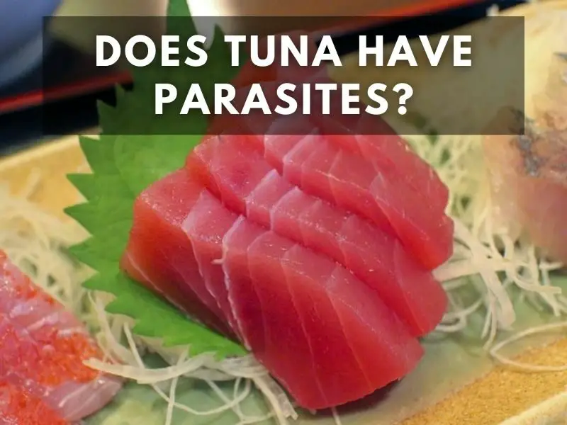 does tuna have worms