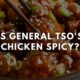 is general tso sauce spicy