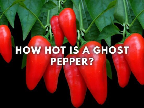 How many Scoville Units is a Ghost Pepper?