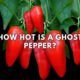 How many Scoville Units is a Ghost Pepper?
